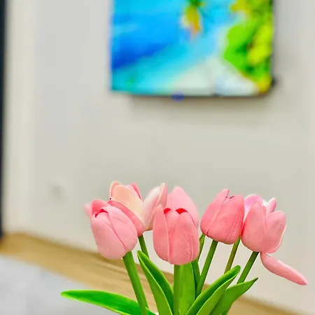 Happy Nest Home - Long Bien-3